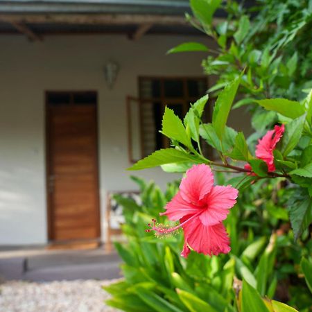 Kendwa Breeze Bungalows Екстериор снимка