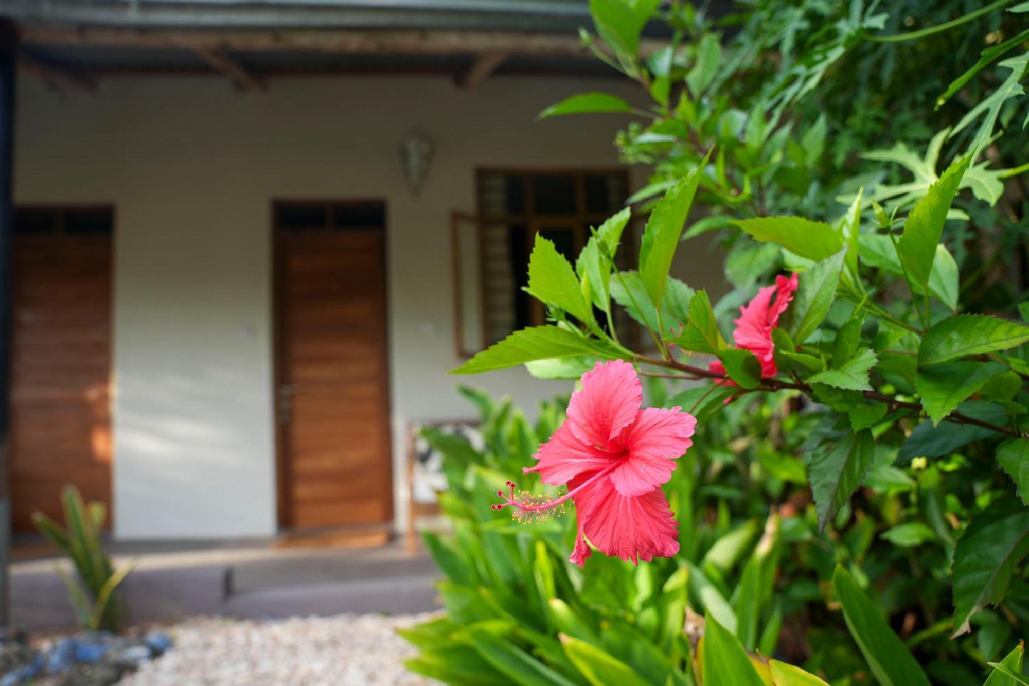 Kendwa Breeze Bungalows Екстериор снимка